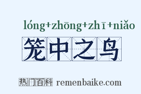 笼中之鸟是什么意思的图片